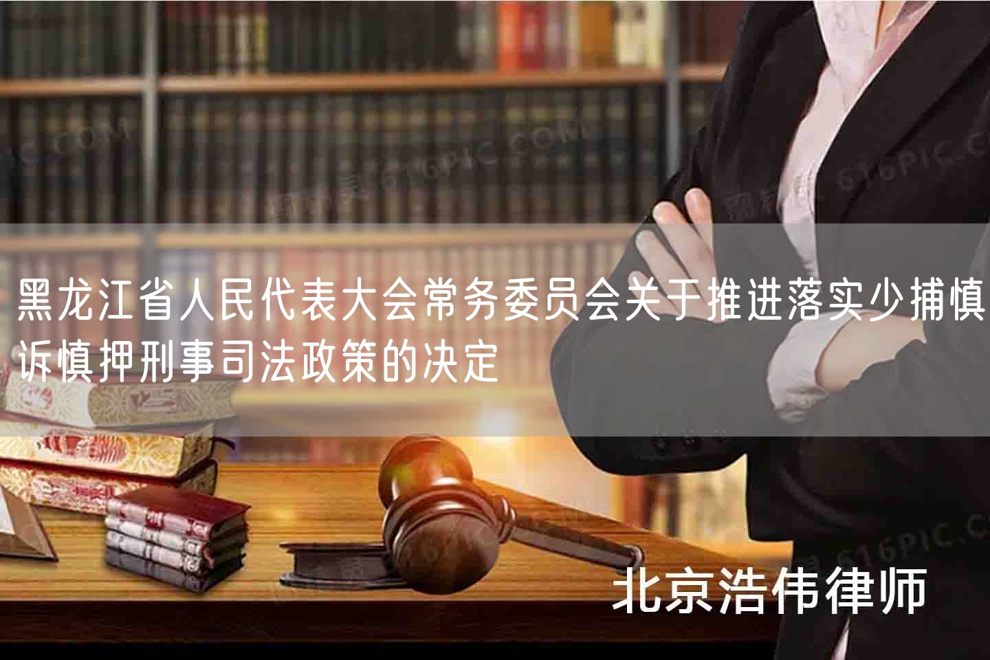 黑龙江省人民代表大会常务委员会关于推进落实少捕慎诉慎押刑事司法政策的决定(图1)