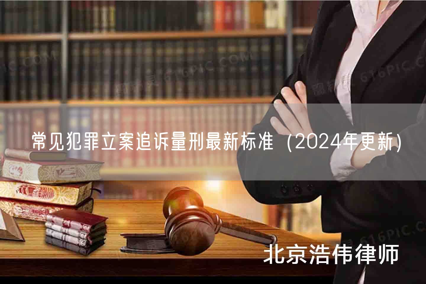 常见犯罪立案追诉量刑最新标准（2024年更新）(图1)